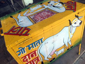 Holy Cow inspired money box