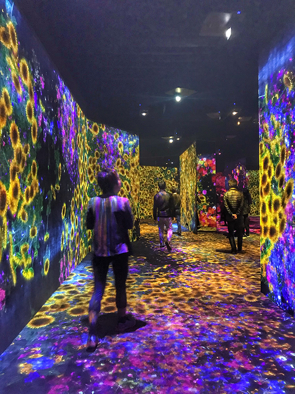 Visiting teamLab Borderless, Shanghai