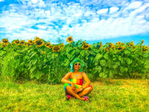 Sunflower Season in Milton Keynes