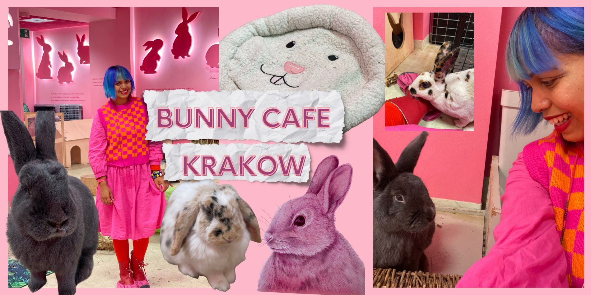 montage of photos from bunny cafe poland