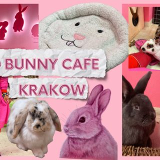 The 60 Best Colour accounts on Instagram 2025