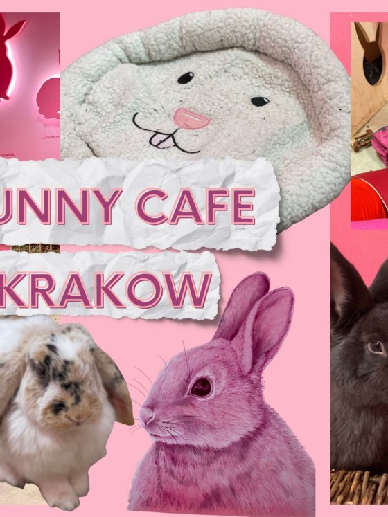 Celebrate Year of the Rabbit – with a visit to the Bunny Cafe in Krakow, Poland