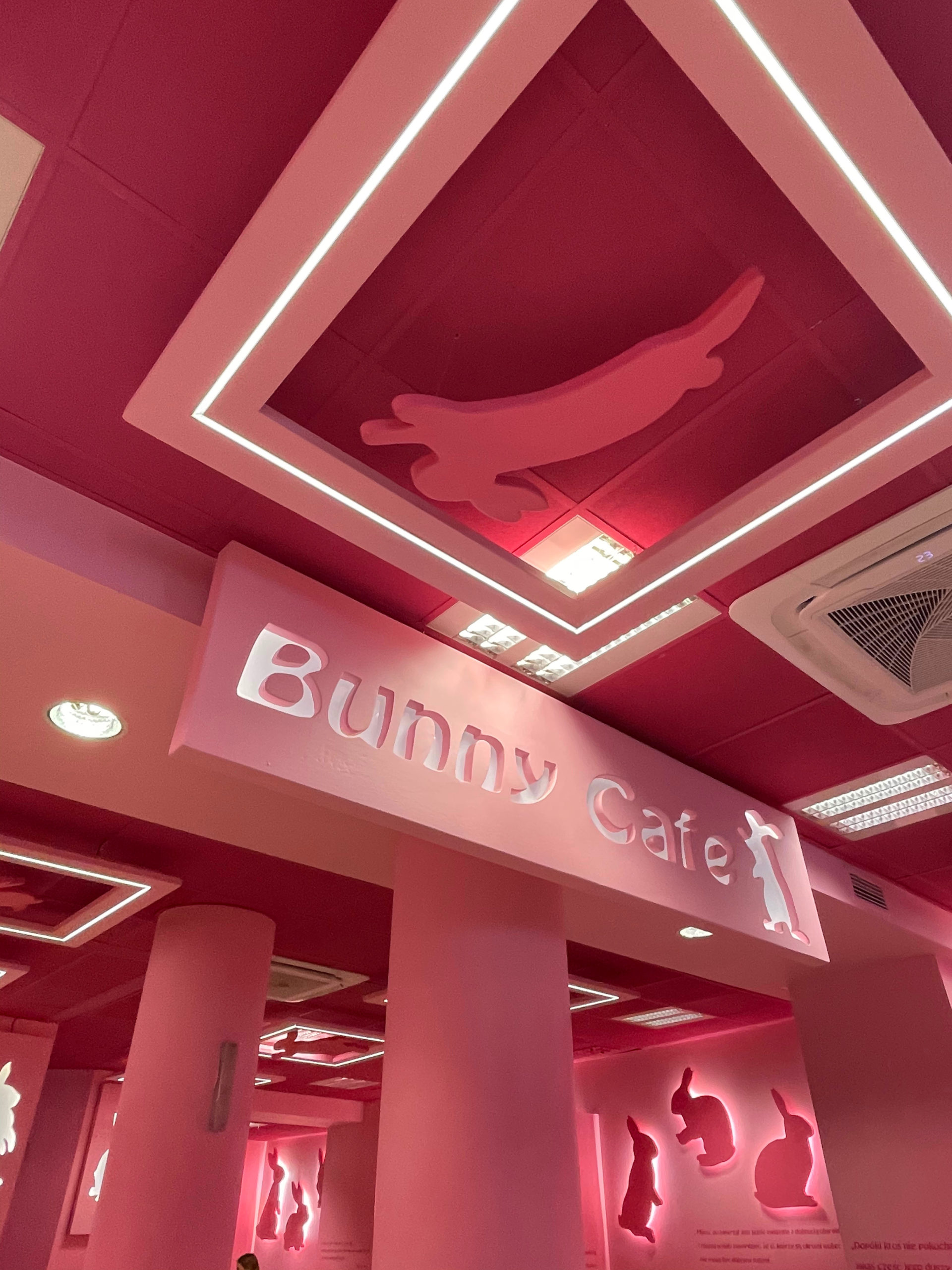 bunny cafe signage - fully pink