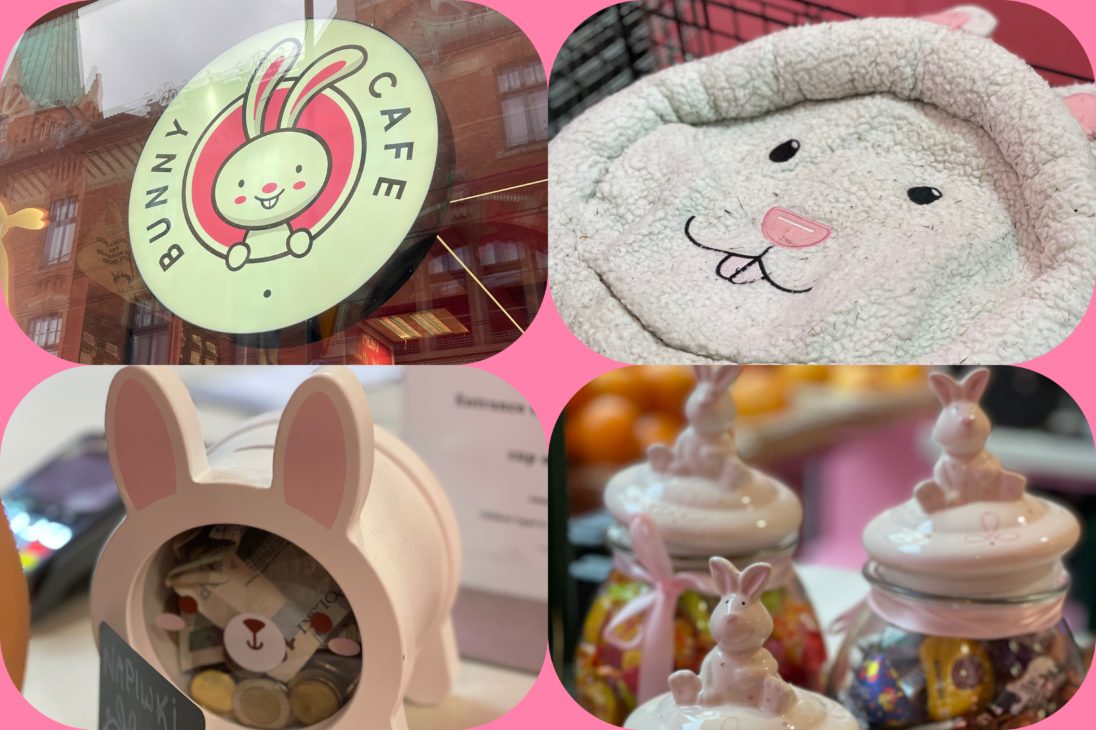 close up of some of the bunny memorabilia in the cafe