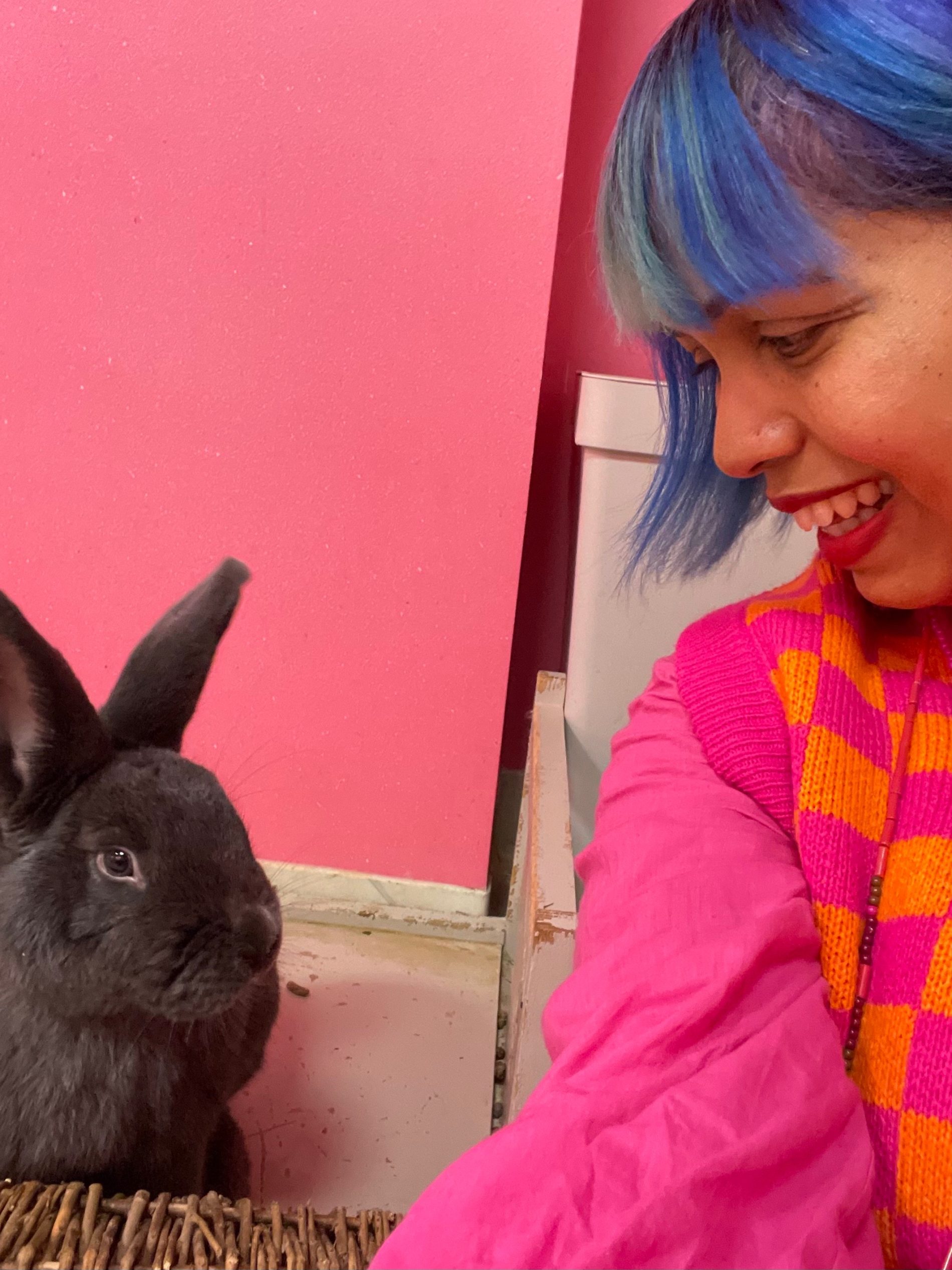 Cuteness overload at the Bunny Cafe in Krakow, Poland - Craft & Travel