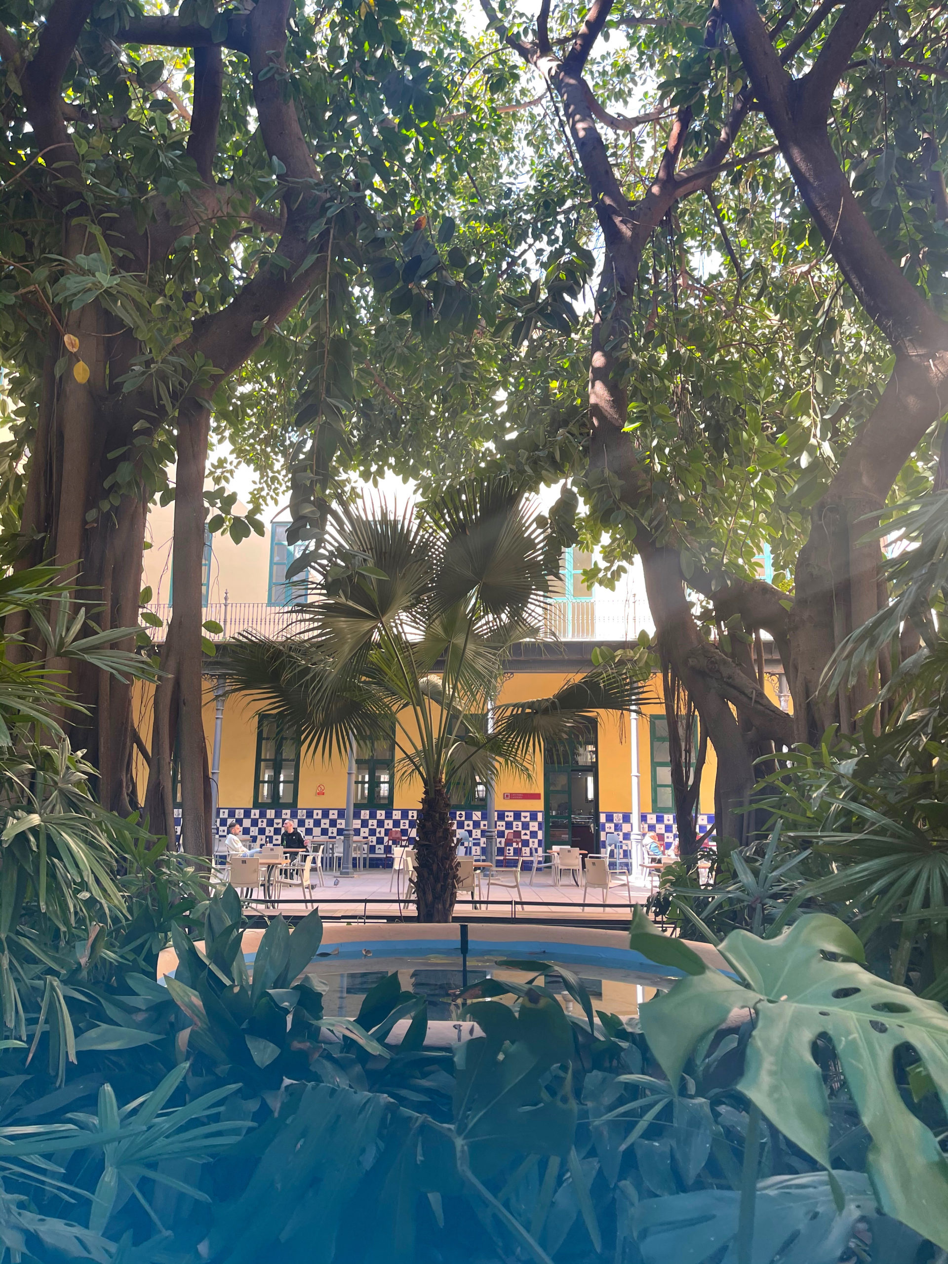 valencia city break ethnographic museum garden