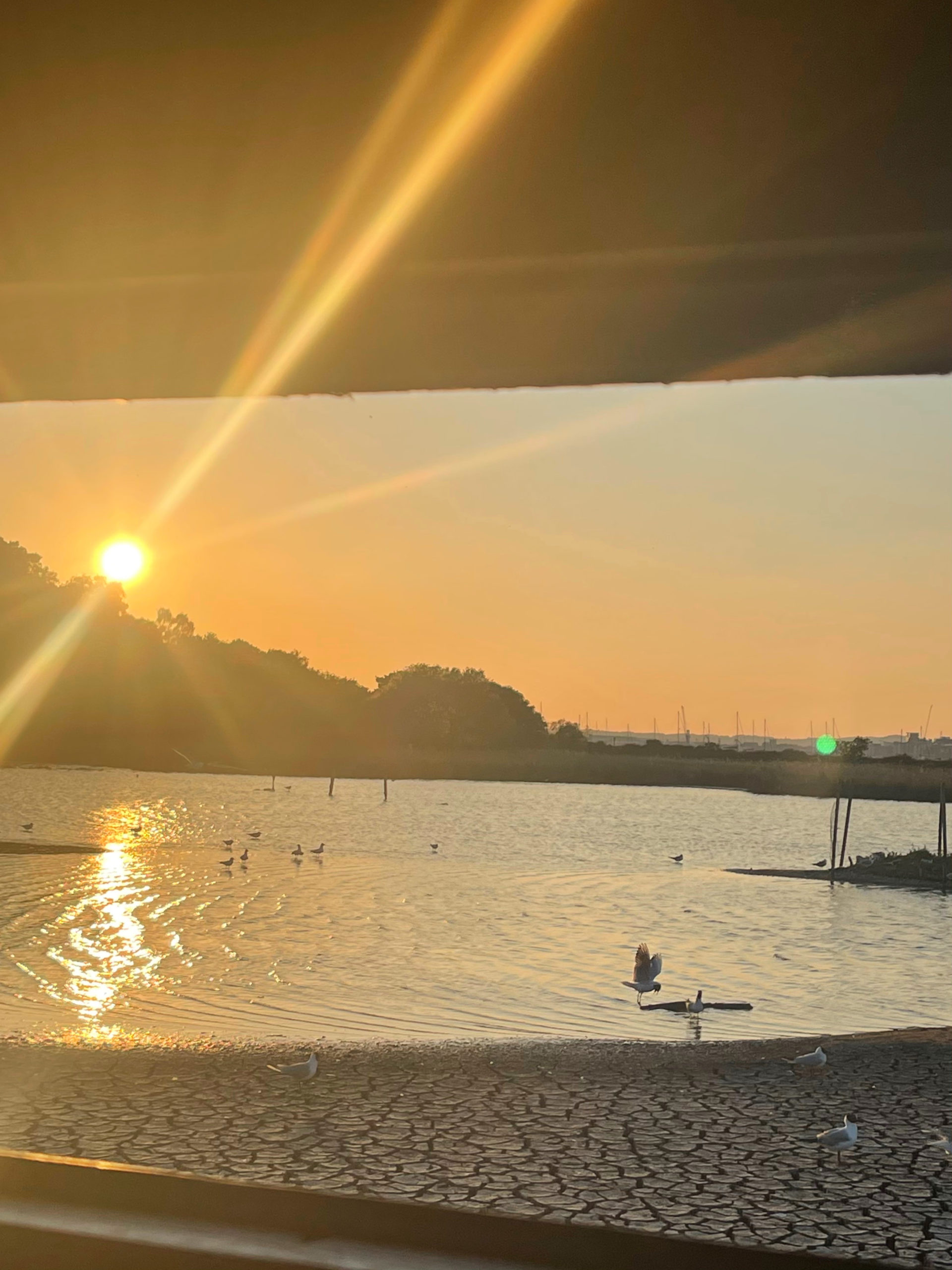 sunrise view through bird hide 