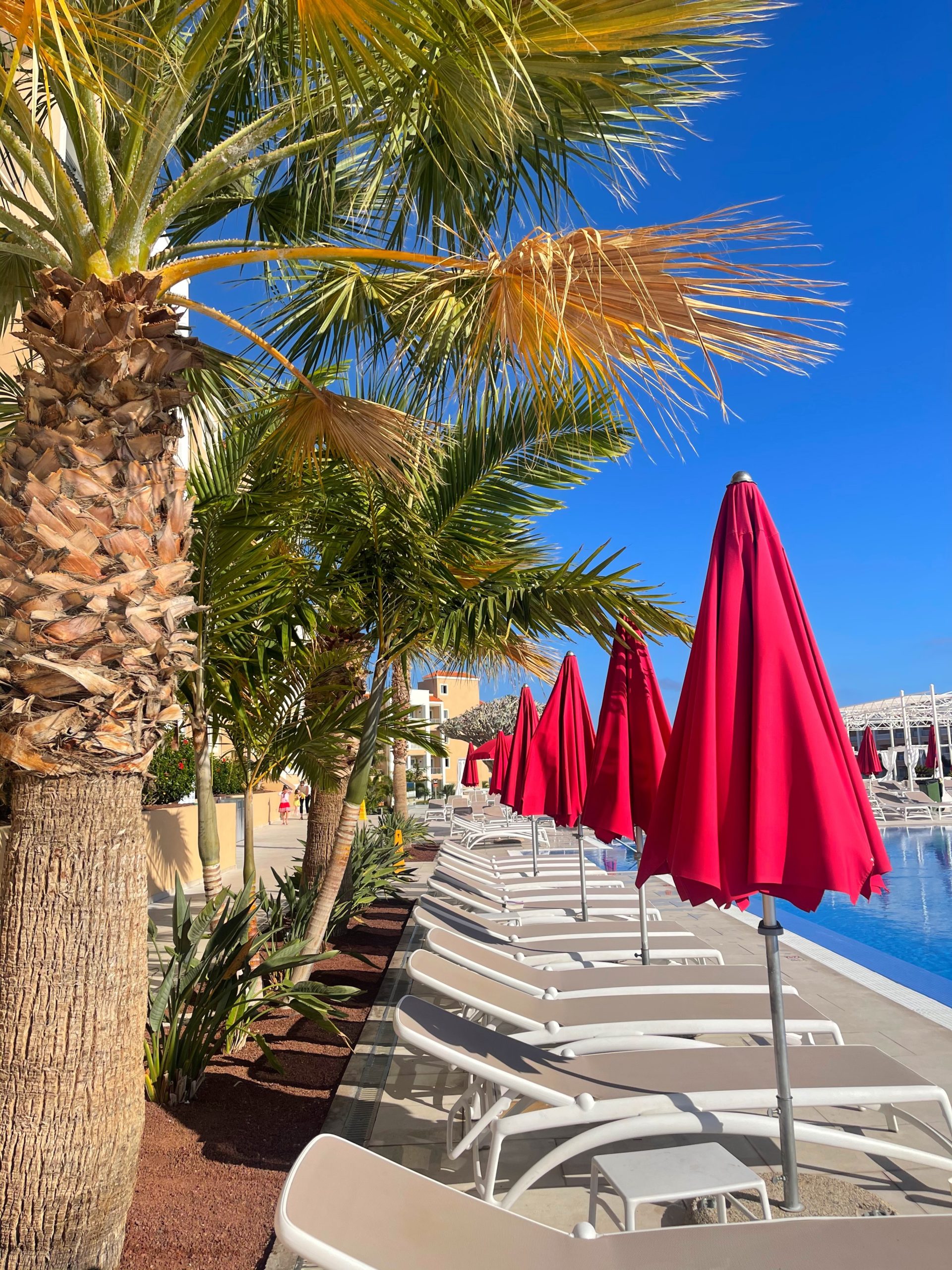 View of palm trees, sun loungers and red umbrellas by the pool