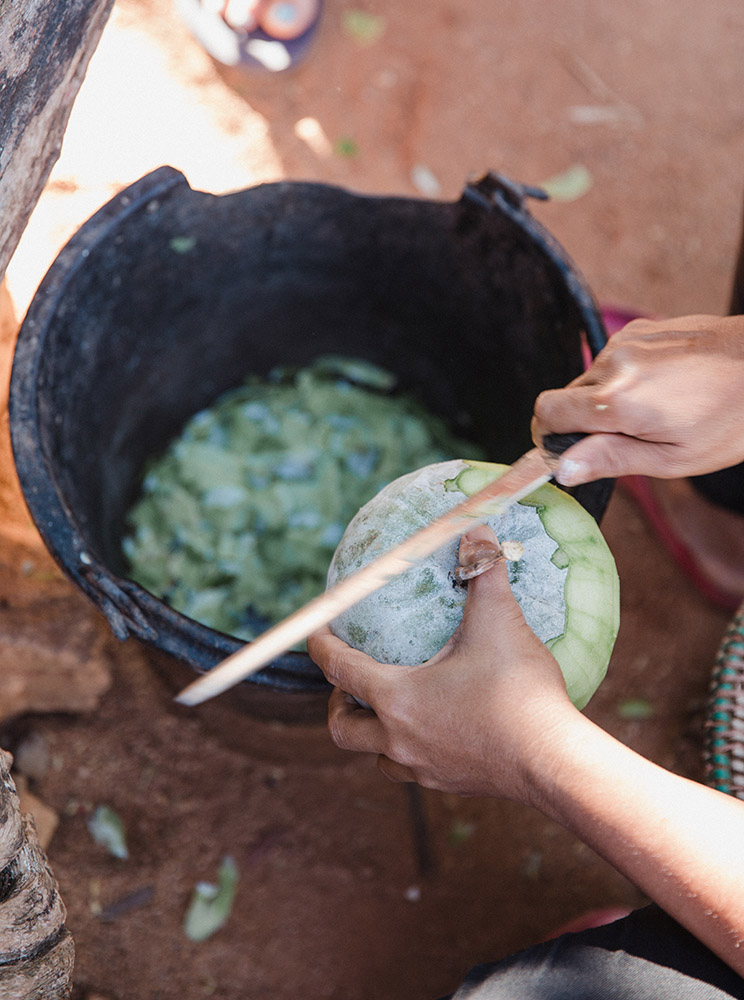 hands carving round winter melon over a bucket