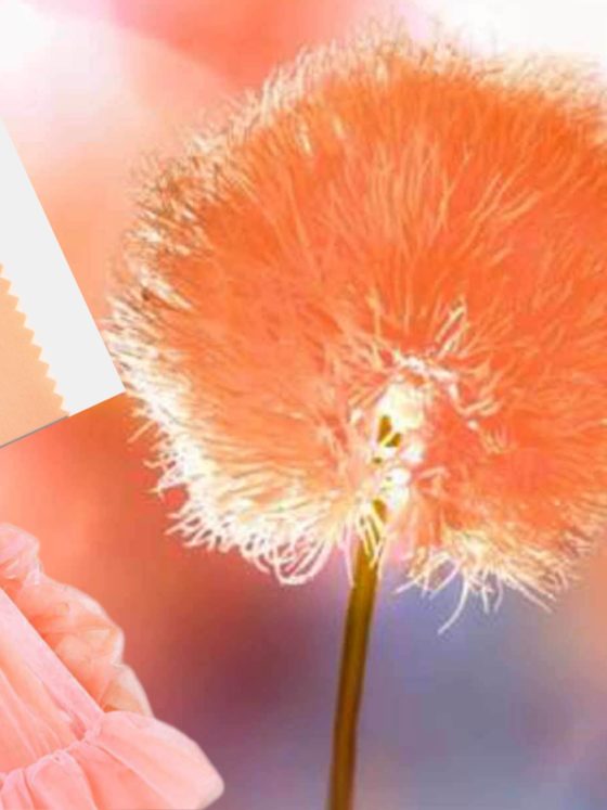 Pantone Colour of the Year 2024