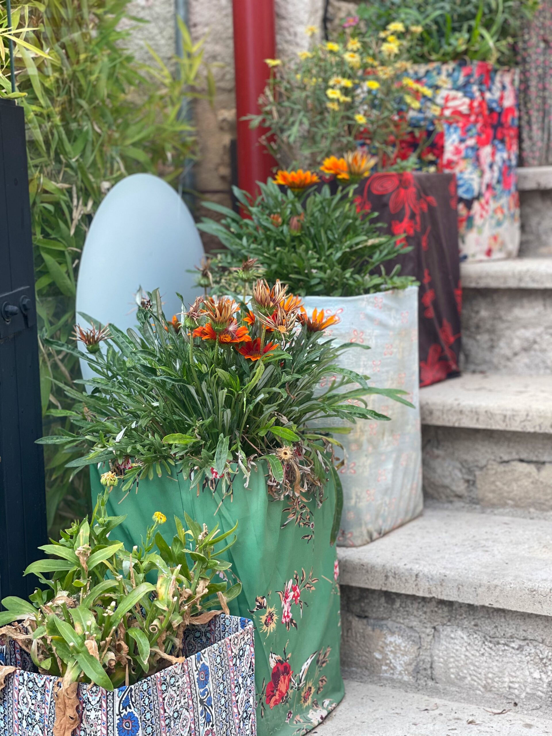 colourful plant points lined up on stairs