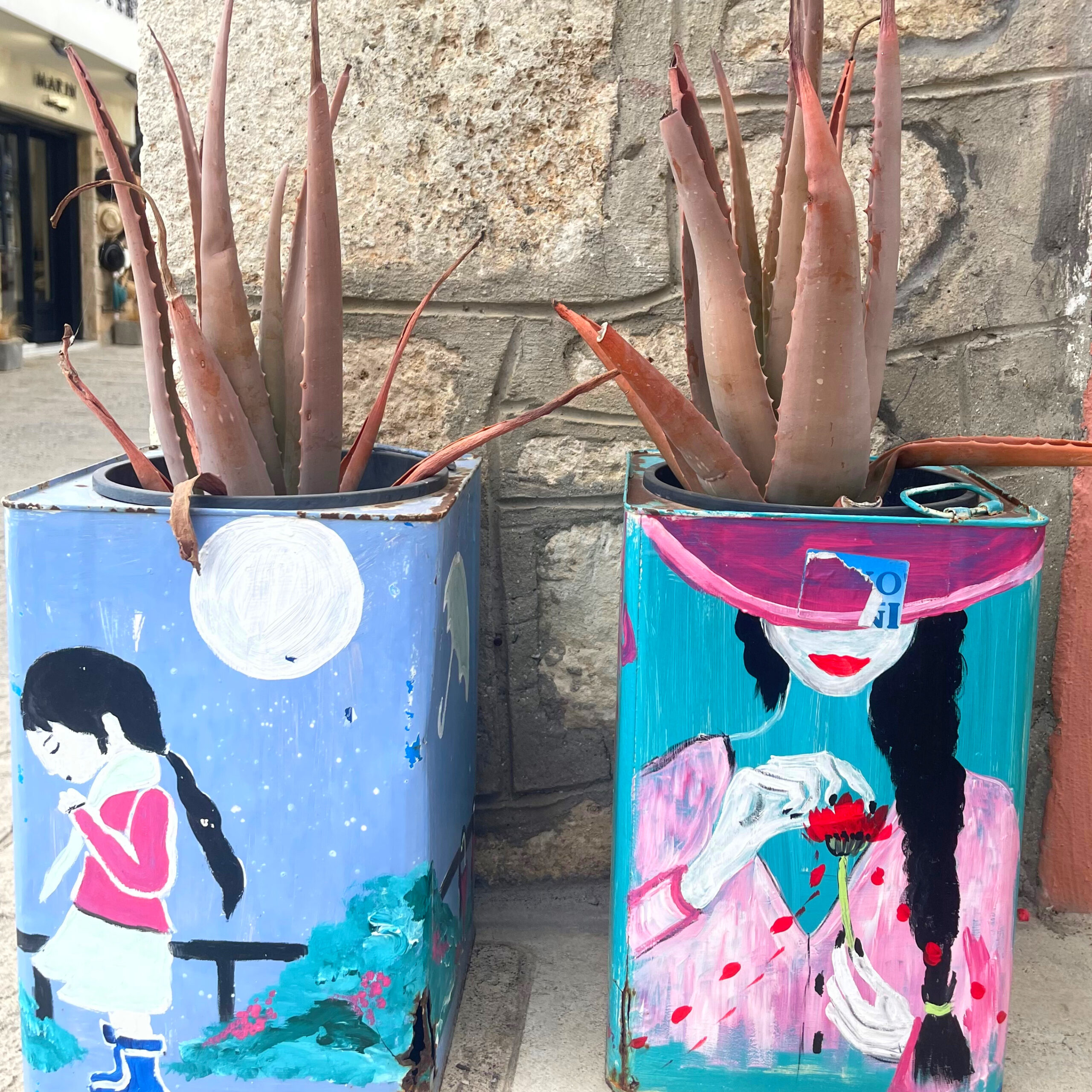 two painted cheese tins made into plant pots, afitos