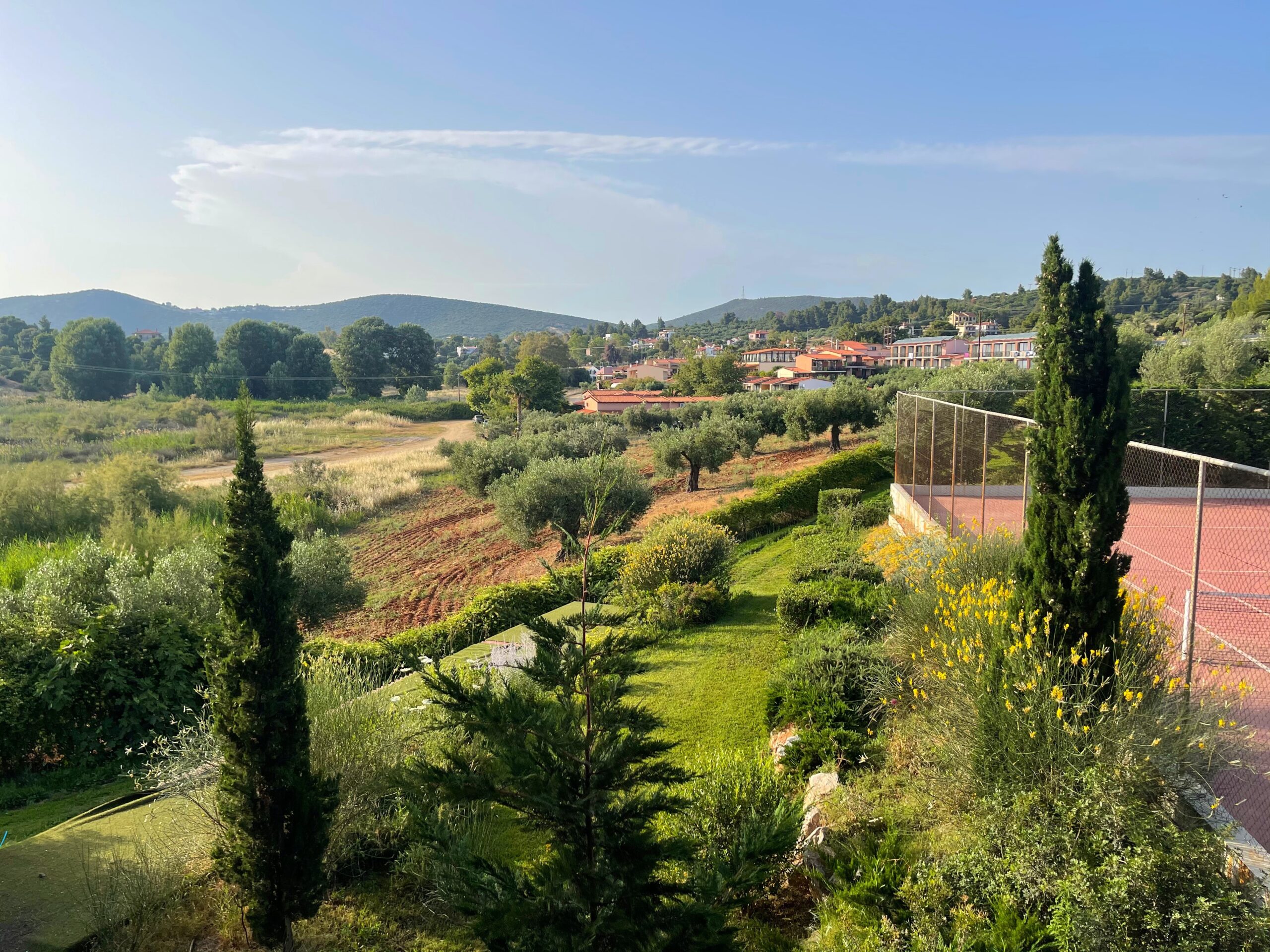 view of greenery and plants and trees in background